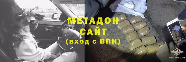 шишки Пересвет