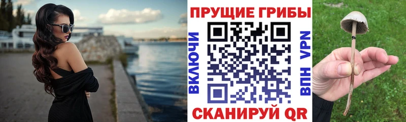 Галлюциногенные грибы Magic Shrooms  Купить где  Каменск-Уральский 